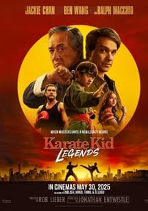 功夫夢:融合之道電影海報